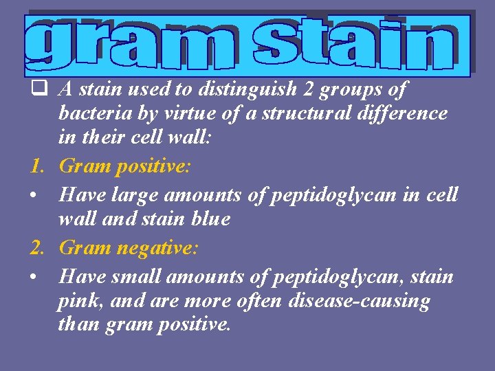 q A stain used to distinguish 2 groups of bacteria by virtue of a