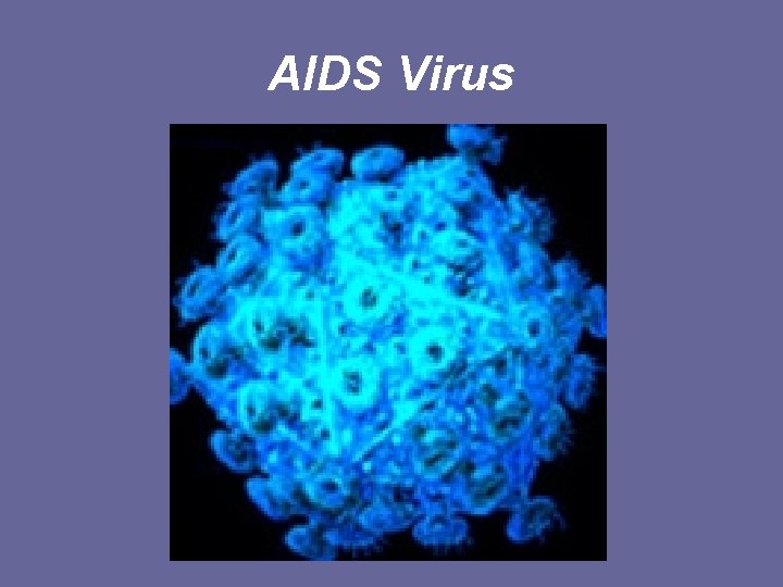 AIDS Virus 