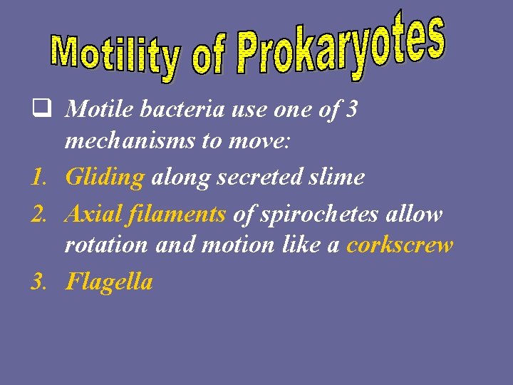 q Motile bacteria use one of 3 mechanisms to move: 1. Gliding along secreted