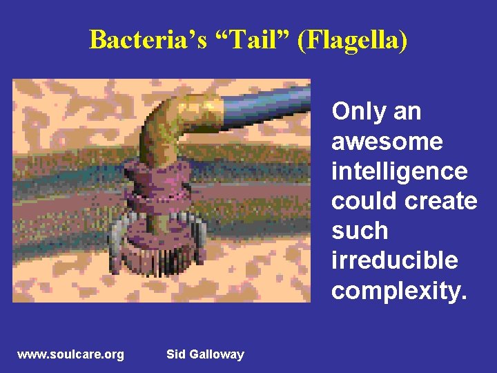 Bacteria’s “Tail” (Flagella) Only an awesome intelligence could create such irreducible complexity. www. soulcare.