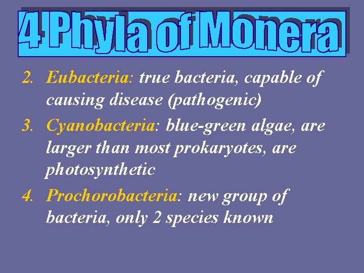 2. Eubacteria: true bacteria, capable of causing disease (pathogenic) 3. Cyanobacteria: blue-green algae, are