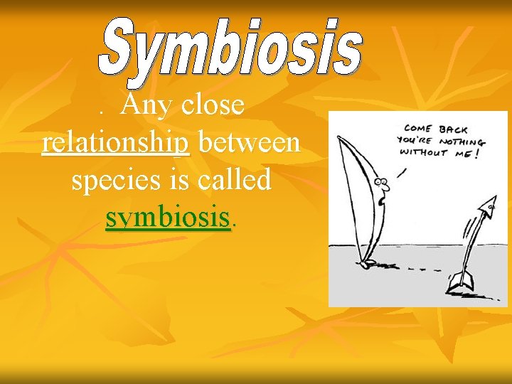 . Any close relationship between species is called symbiosis. 