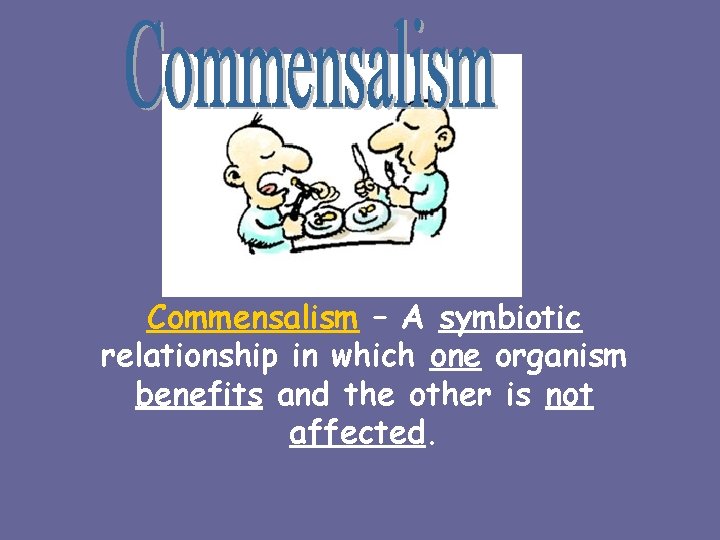 Commensalism – A symbiotic relationship in which one organism benefits and the other is