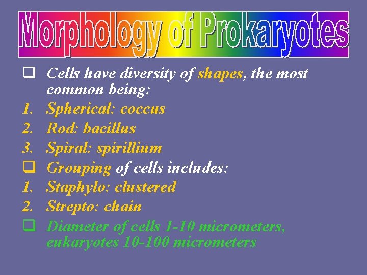 q Cells have diversity of shapes, the most common being: 1. Spherical: coccus 2.