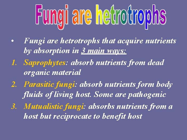  • Fungi are hetrotrophs that acquire nutrients by absorption in 3 main ways: