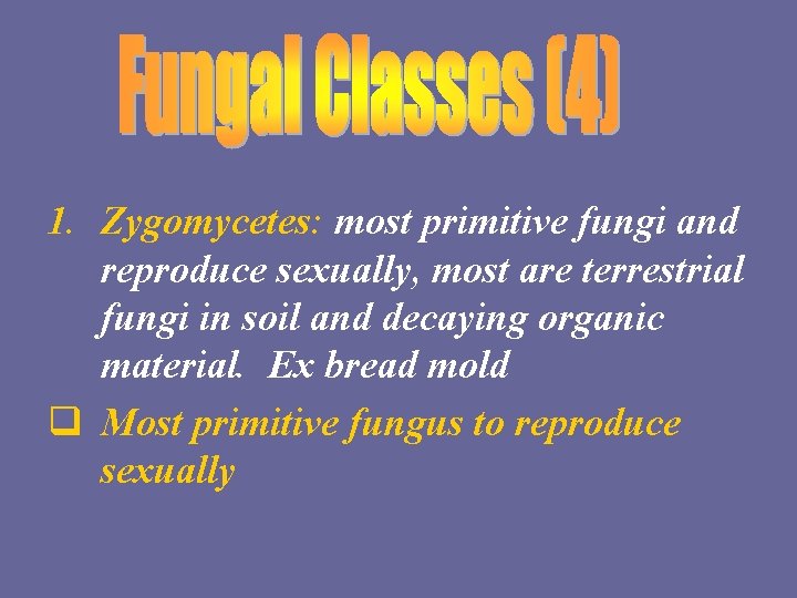 1. Zygomycetes: most primitive fungi and reproduce sexually, most are terrestrial fungi in soil