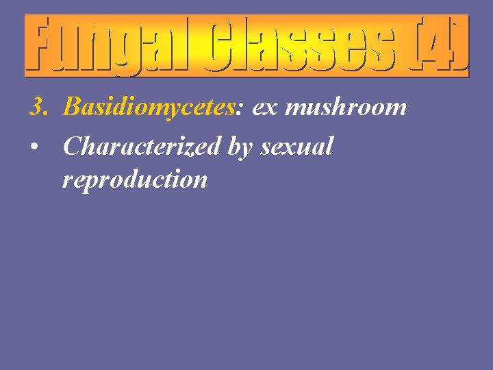3. Basidiomycetes: ex mushroom • Characterized by sexual reproduction 