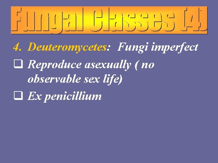 4. Deuteromycetes: Fungi imperfect q Reproduce asexually ( no observable sex life) q Ex