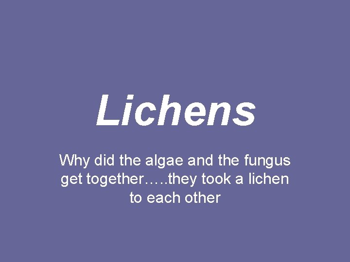 Lichens Why did the algae and the fungus get together…. . they took a