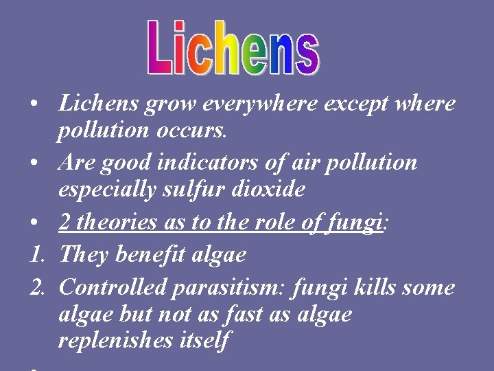  • Lichens grow everywhere except where pollution occurs. • Are good indicators of