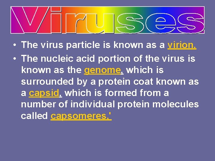  • The virus particle is known as a virion. • The nucleic acid