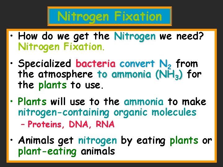 Nitrogen Fixation • How do we get the Nitrogen we need? Nitrogen Fixation. • Nitrogen Fixation • How do we get the Nitrogen we need? Nitrogen Fixation. •