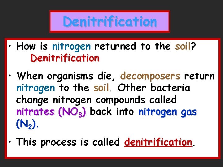 Denitrification • How is nitrogen returned to the soil? Denitrification • When organisms die, Denitrification • How is nitrogen returned to the soil? Denitrification • When organisms die,