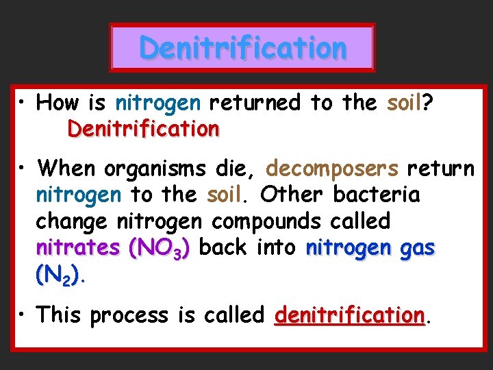 Denitrification • How is nitrogen returned to the soil? Denitrification • When organisms die,