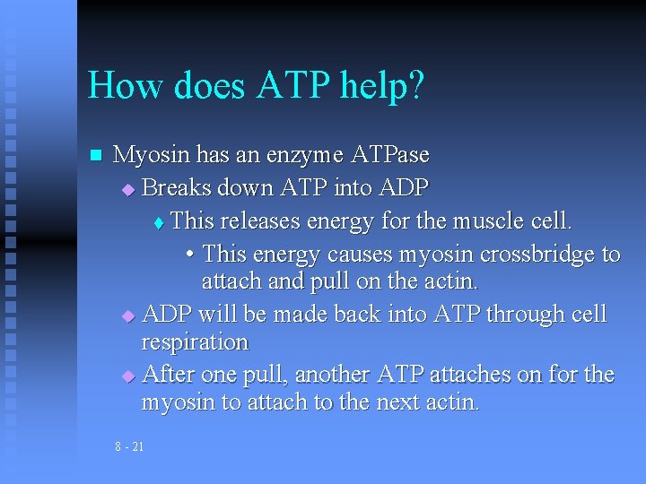 How does ATP help? n Myosin has an enzyme ATPase u Breaks down ATP