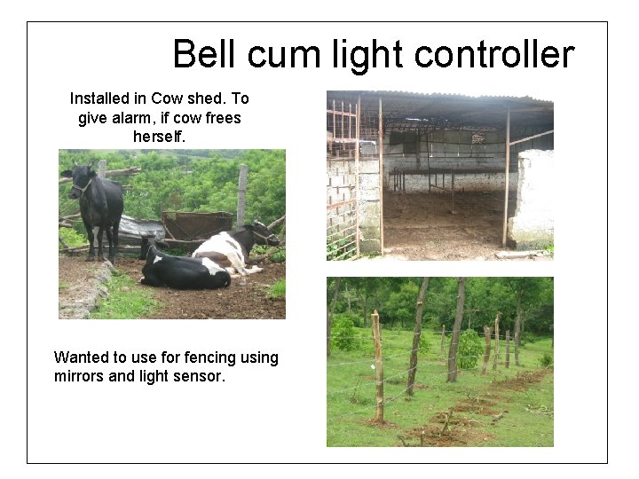 Bell cum light controller Installed in Cow shed. To give alarm, if cow frees