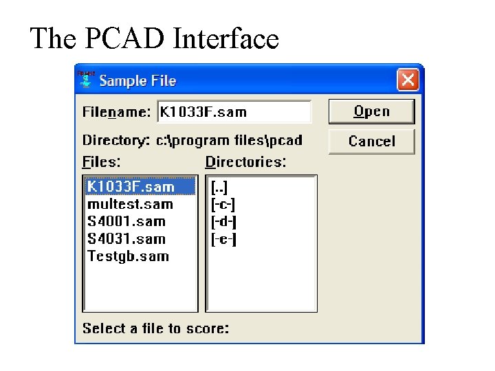 The PCAD Interface 