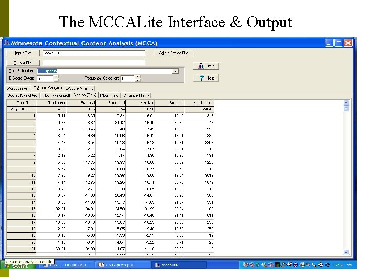 The MCCALite Interface & Output 