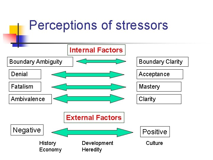 Perceptions of stressors Internal Factors Boundary Ambiguity Boundary Clarity Denial Acceptance Fatalism Mastery Ambivalence