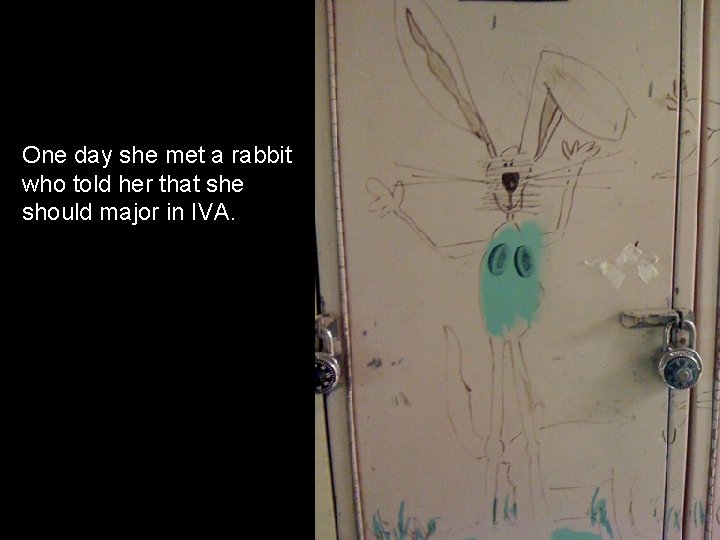 One day she met a rabbit who told her that she should major in