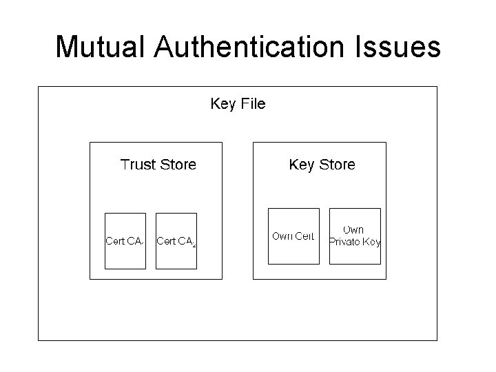 Mutual Authentication Issues 