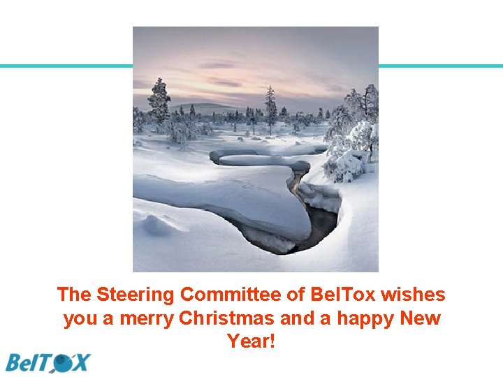 The Steering Committee of Bel. Tox wishes you a merry Christmas and a happy