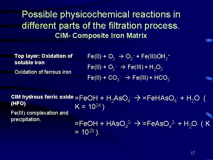 Possible physicochemical reactions in different parts of the filtration process. CIM- Composite Iron Matrix