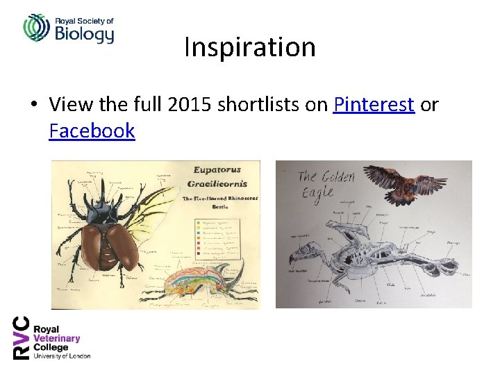 Inspiration • View the full 2015 shortlists on Pinterest or Facebook 