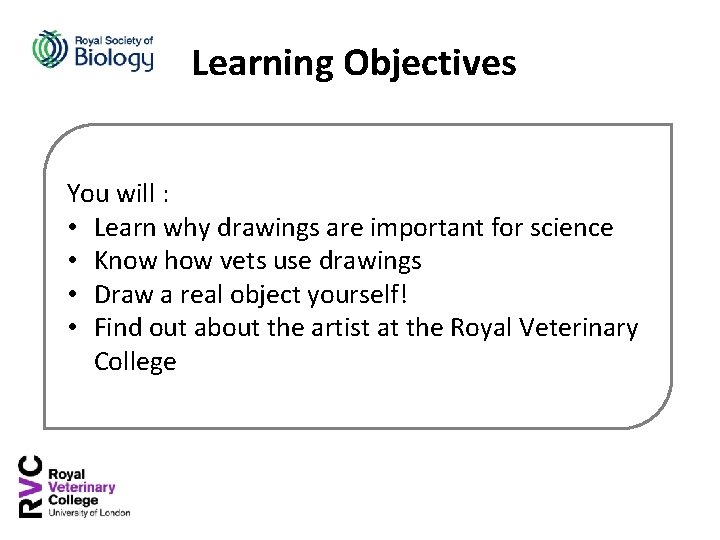 Learning Objectives You will : • Learn why drawings are important for science •