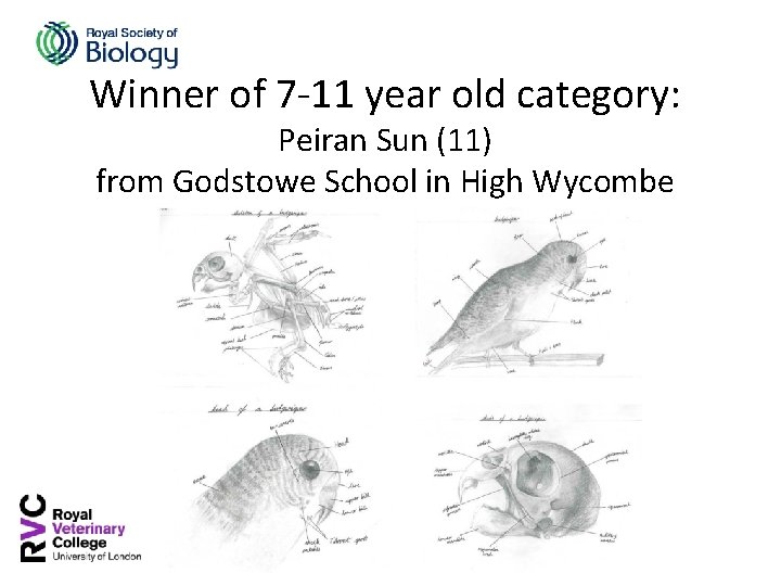Winner of 7 -11 year old category: Peiran Sun (11) from Godstowe School in