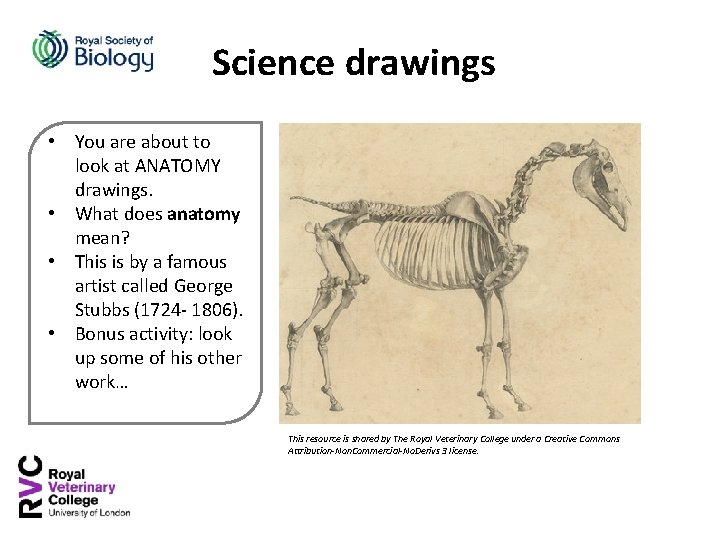 Science drawings • You are about to look at ANATOMY drawings. • What does
