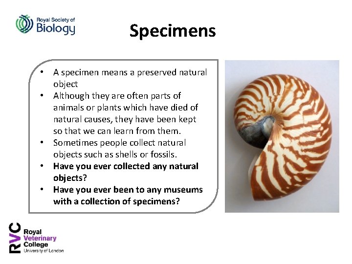 Specimens • A specimen means a preserved natural object • Although they are often
