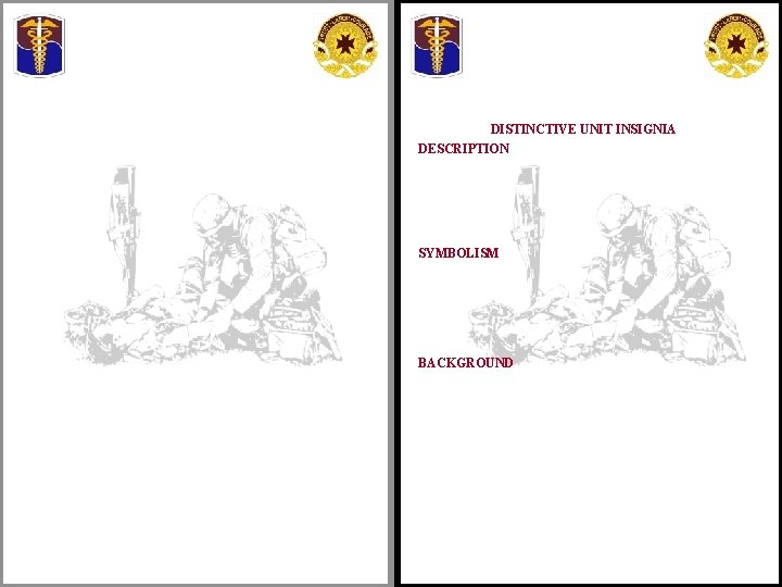 DISTINCTIVE UNIT INSIGNIA DESCRIPTION SYMBOLISM BACKGROUND 