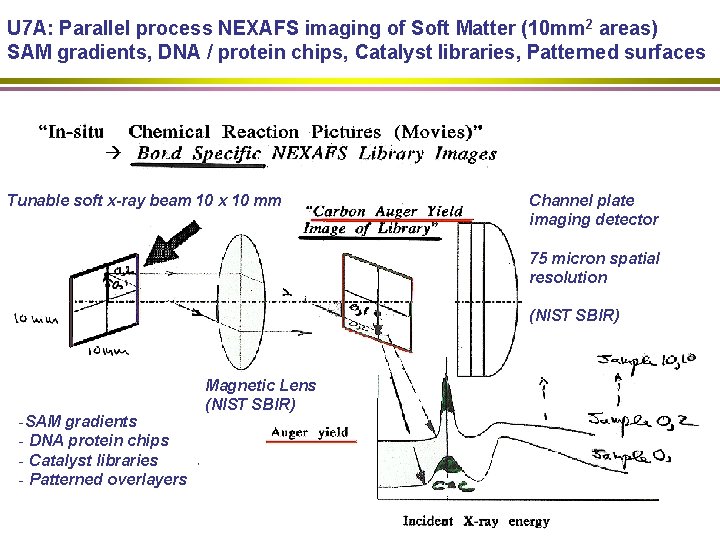 U 7 A: Parallel process NEXAFS imaging of Soft Matter (10 mm 2 areas)