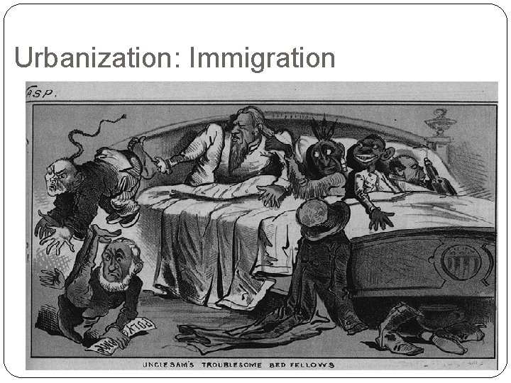Urbanization: Immigration 