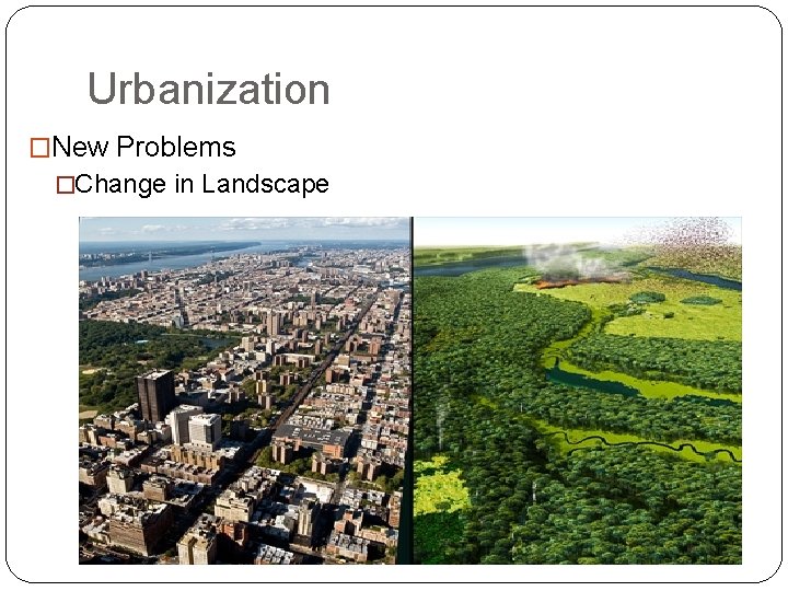 Urbanization �New Problems �Change in Landscape 