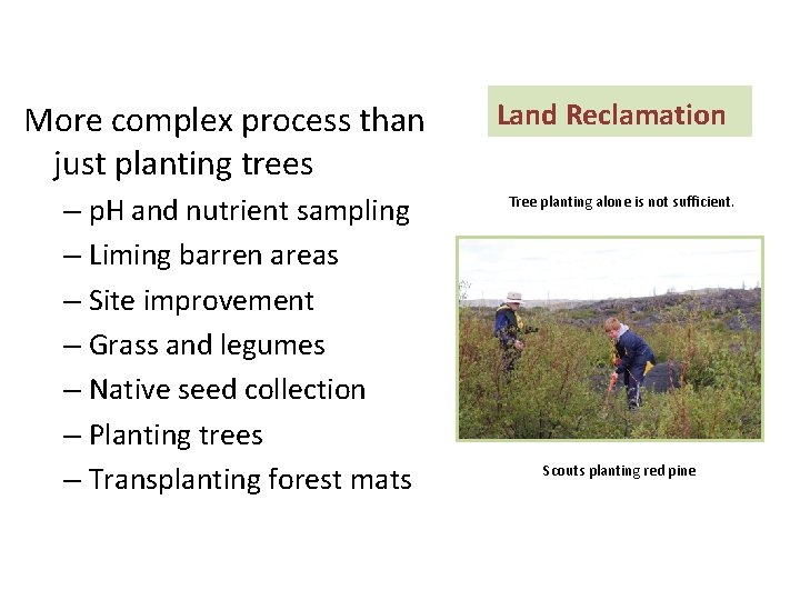 More complex process than just planting trees – p. H and nutrient sampling –