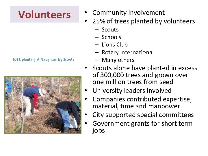 Volunteers 2012 planting at Naughton by Scouts • Community involvement • 25% of trees