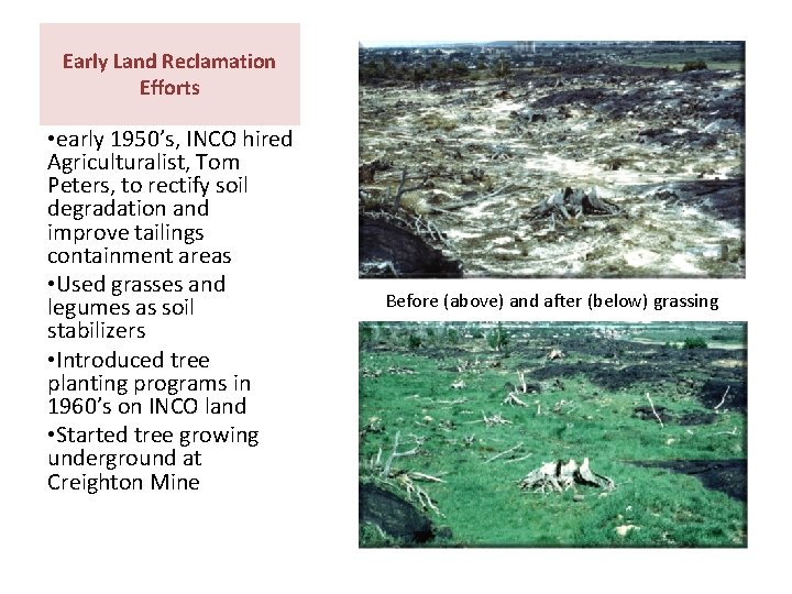 Early Land Reclamation Efforts • early 1950’s, INCO hired Agriculturalist, Tom Peters, to rectify