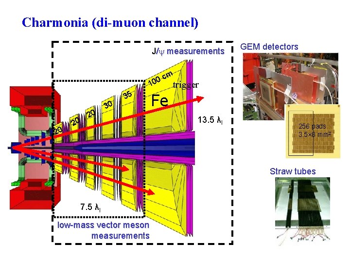 Charmonia (di-muon channel) J/ measurements GEM detectors m 0 c 0 1 20 20