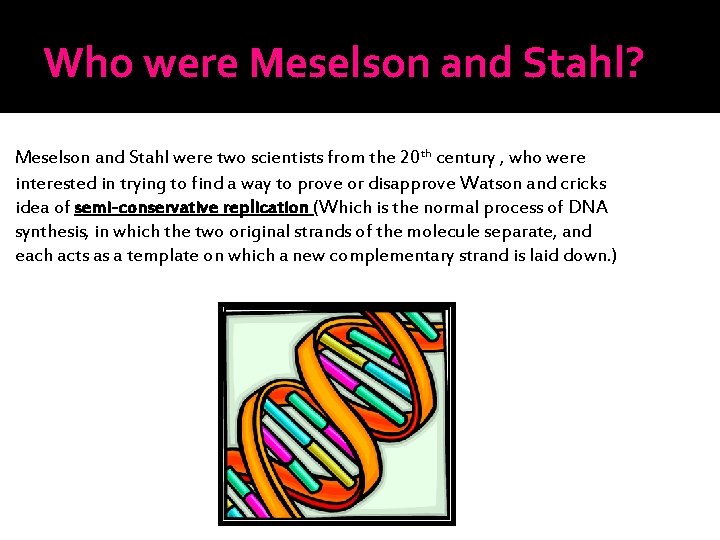 Who were Meselson and Stahl? Meselson and Stahl were two scientists from the 20