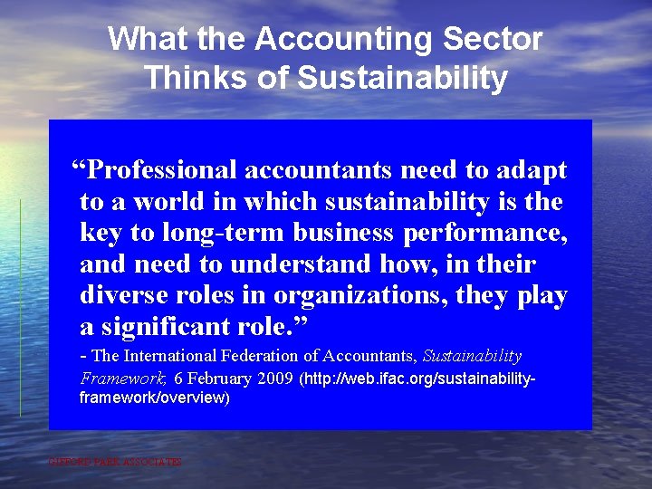 What the Accounting Sector Thinks of Sustainability “Professional accountants need to adapt to a