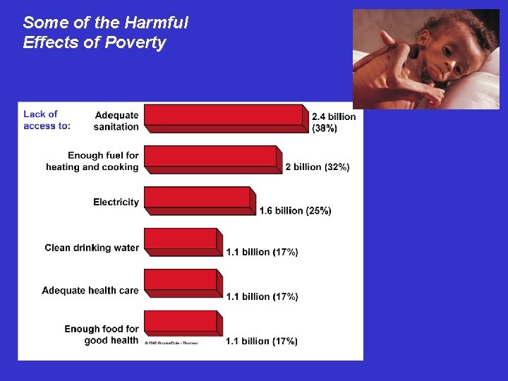 Some of the Harmful Effects of Poverty 