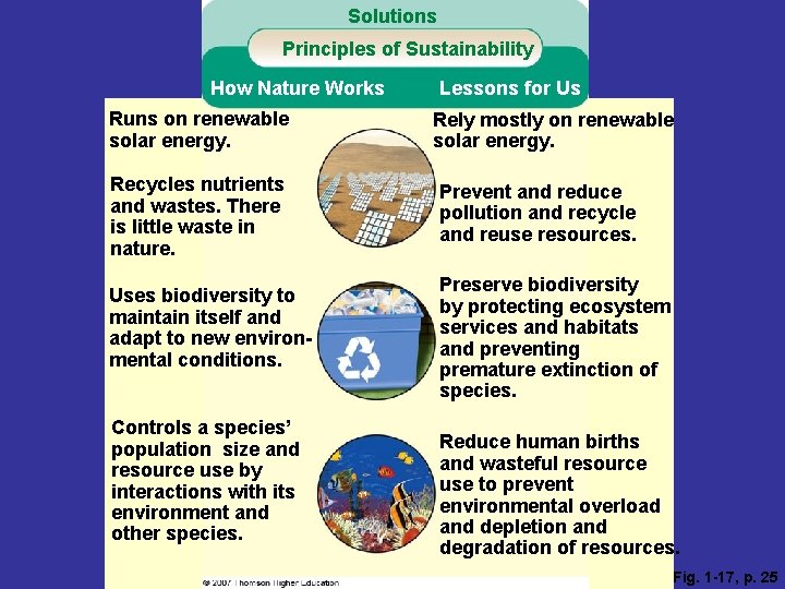 Solutions Principles of Sustainability How Nature Works Runs on renewable solar energy. Recycles nutrients