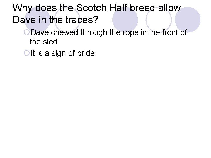 Why does the Scotch Half breed allow Dave in the traces? ¡Dave chewed through