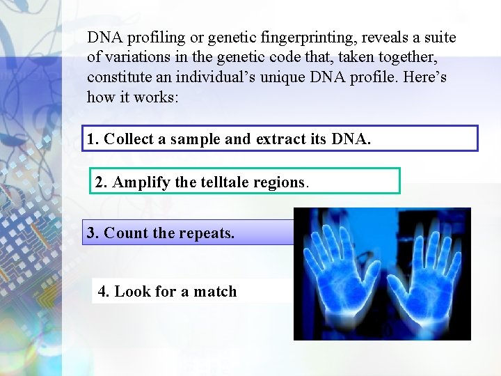 DNA profiling or genetic fingerprinting, reveals a suite of variations in the genetic code