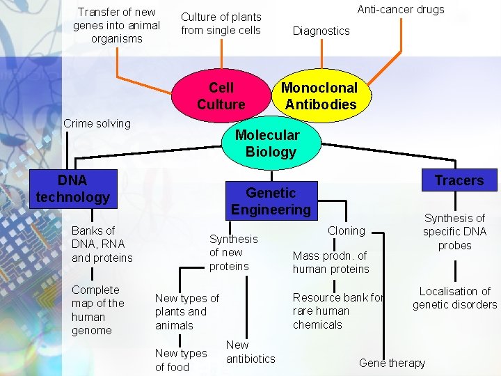 Transfer of new genes into animal organisms Diagnostics Cell Culture Monoclonal Antibodies Crime solving