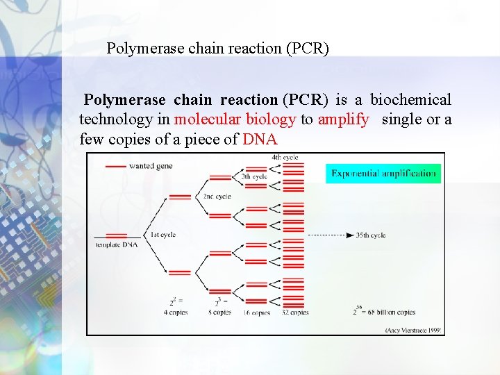 Polymerase chain reaction (PCR) is a biochemical technology in molecular biology to amplify single