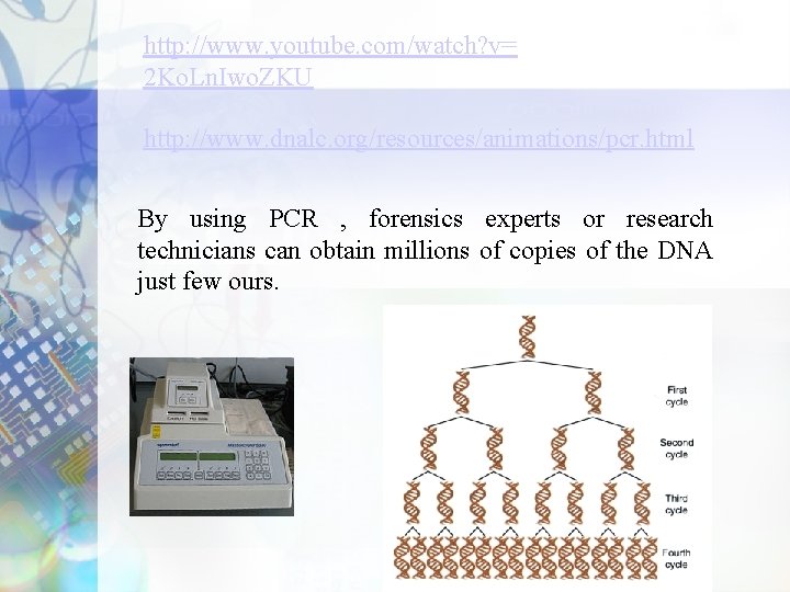 http: //www. youtube. com/watch? v= 2 Ko. Ln. Iwo. ZKU http: //www. dnalc. org/resources/animations/pcr.