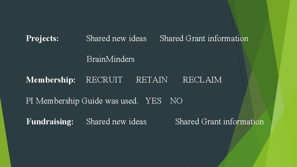 Projects: Shared new ideas Shared Grant information Brain. Minders Membership: RECRUIT RETAIN RECLAIM PI